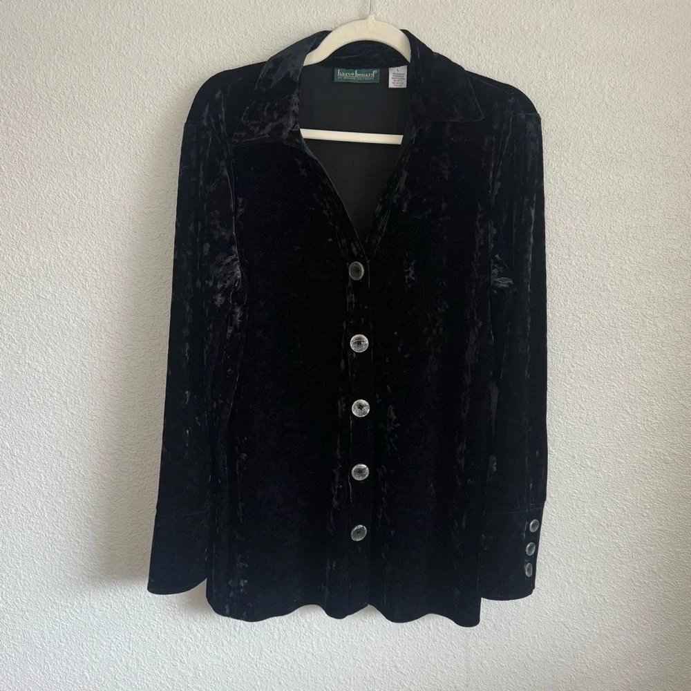 VTG Harvard‎ Benard Large Velour Crushed Velvet Button Down Whimsigoth Cardigan